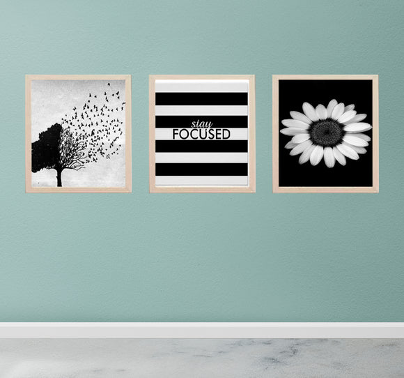 Set of three custom black and white abstract frames in square collage layout on teal wall. - Abstract Photo Frame 3 PCS Aesthetic Picture Frames - Black / 8x10" - Frame World