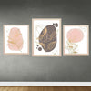 Set of 3 custom beige frames with abstract leaf and floral collage art against gray wall. - Set of 3 Aesthetic Wall Decoration Photo Frames - Black - Frame World