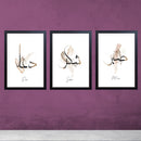 Islamic calligraphy collage set of three custom black frames with Arabic script on white backgrounds. - Sabar Shukar Dua 3 Pc Islamic Calligraphy Frame set - 8x12" / Black - Frame World