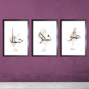 Set of three Islamic calligraphy frames with Sabar, Shukar, and Dua words in black on white background with abstract accents