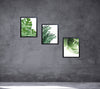 Three black frames collage with custom tropical leaf botanical prints on gray textured wall. - 3-Piece Tropical Leaf Wall Frame Set – Modern Botanical Decor - 8x10" / Black - Frame World