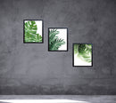 Three black frames collage with custom tropical leaf botanical prints on gray textured wall. - 3-Piece Tropical Leaf Wall Frame Set – Modern Botanical Decor - 8x10" / Black - Frame World