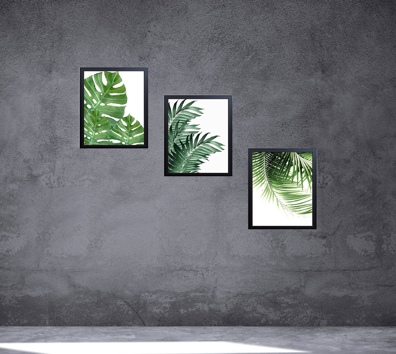 Buy black 3 Pcs Tropical Leaf Theme Frames
