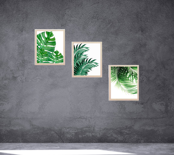 Three-piece custom tropical leaf collage with white frames on gray wall. - 3-Piece Tropical Leaf Wall Frame Set – Modern Botanical Decor - 8x10" / Black - Frame World