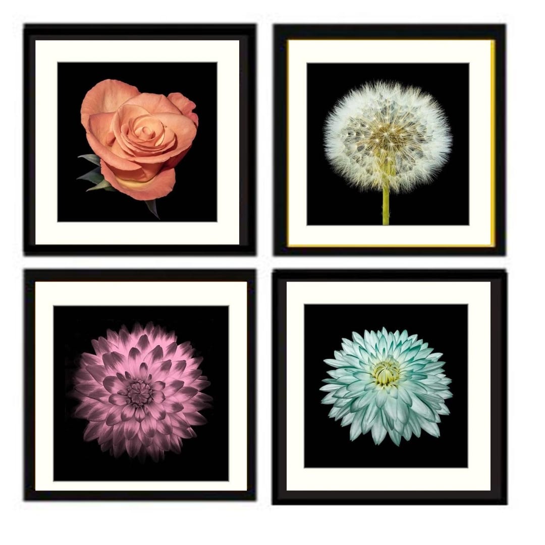 Modern Minimalist 4 PCS Glass Front with FREE Print Wall photo frame  & Room Decor photo frame