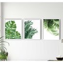 Set of 3 white frames with green tropical leaf abstract art creating a custom collage wall display. - Set of 3 Abstract Art Frame set - 8x12" / Black / 1 - Frame World