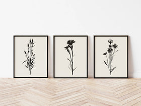 3 pc Black Grey Botanical art, Wildflower Abstract Frame set