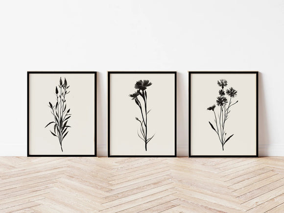 3 pc Black Grey Botanical art, Wildflower Abstract Frame set