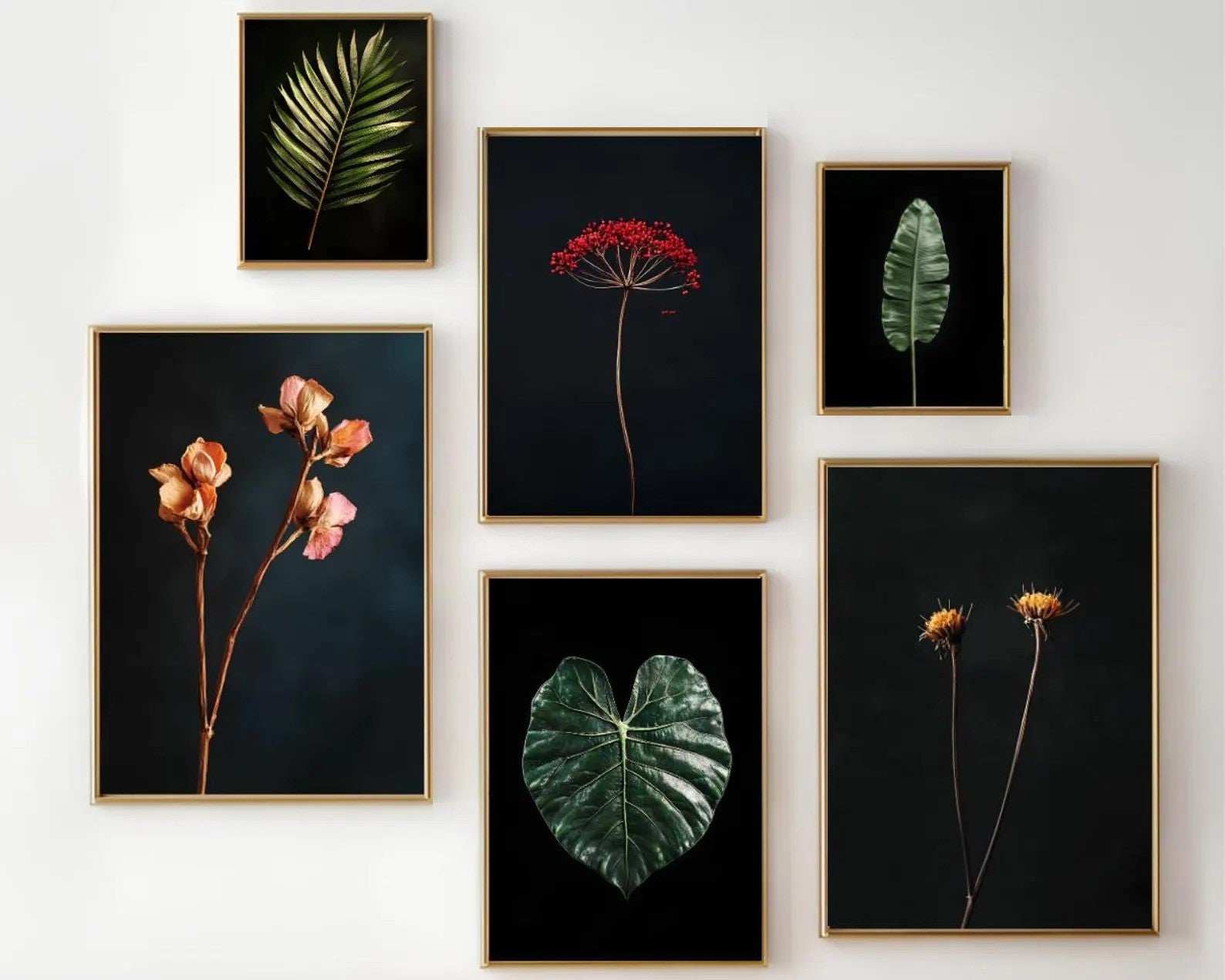 6 Pack Dark Floral frames, Wildflower Print, Botanical Leaf Abstract Frames ( 12x18" 2 pc, 10x14" 2 pc, 8x10"  2 pc)
