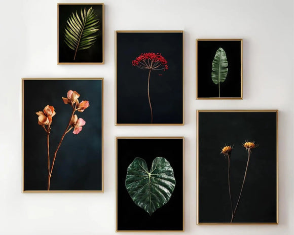 6 Pack Dark Floral Botanical Frame Set – Wildflower Abstract Wall Art