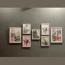 Set of framed botanical prints on a gray wall