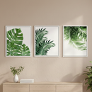 3-Piece Tropical Leaf Wall Frame Set – Modern Botanical Decor-1