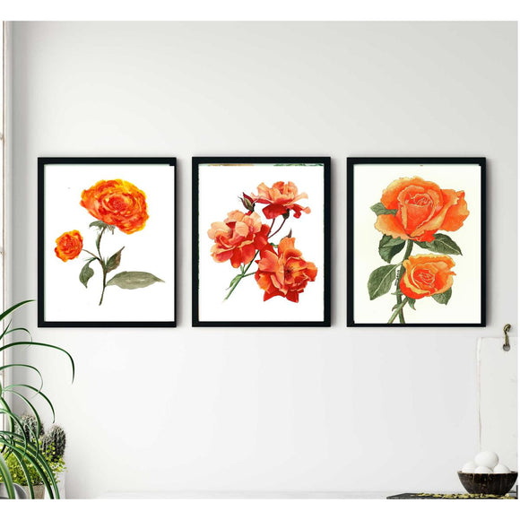 Three-piece abstract flower frame set with black frames creating a custom collage display. - 3 Pcs Abstract Flower Frame Set - 8x10" / Black - Frame World
